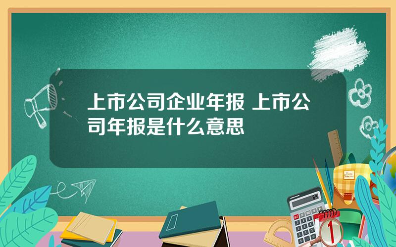 上市公司企业年报 上市公司年报是什么意思